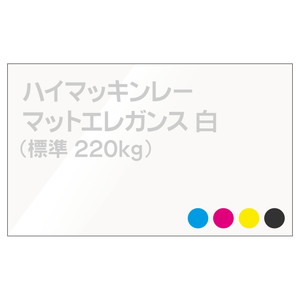 データ入稿名刺 表面カラー/裏面モノクロ印刷 ハイマッキンレーマットエレガンス 220kg