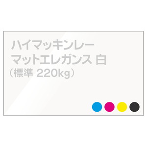 データ入稿名刺 表面カラー/裏面モノクロ印刷 ハイマッキンレーマットエレガンス 220kg(白) 