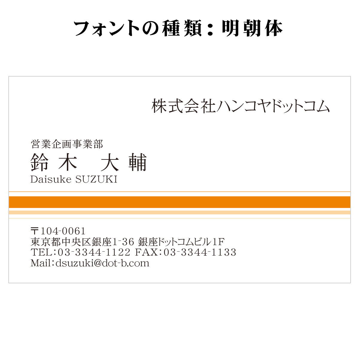 テキスト入稿名刺 ヨコ向き 両面カラー印刷 AP-05 自由入力欄(文字大)
