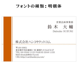 テキスト入稿名刺 ヨコ向き 両面カラー印刷 AT-05 自由入力欄(文字大)