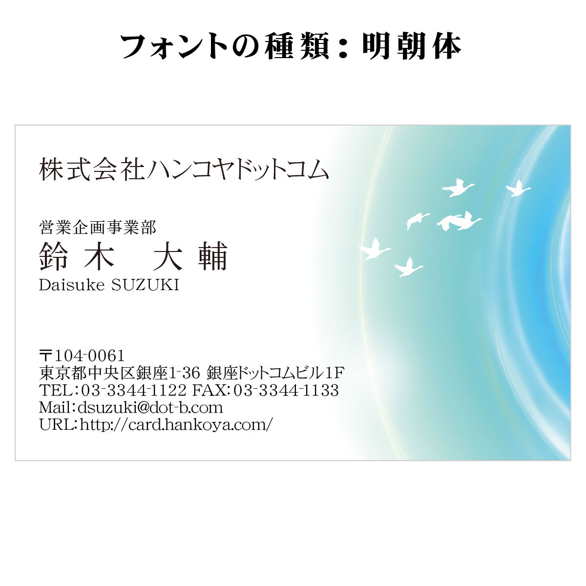 テキスト入稿名刺 ヨコ向き 両面カラー印刷 C1-05 自由入力欄(文字大)